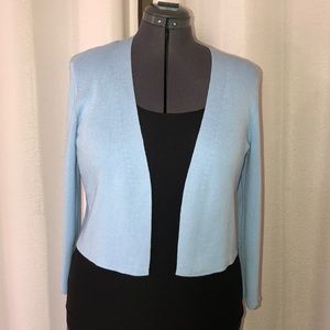 🏷 Baby Blue Cropped Sweater